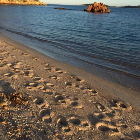 Vue Avec Acces Prive A La Apartman Lecci